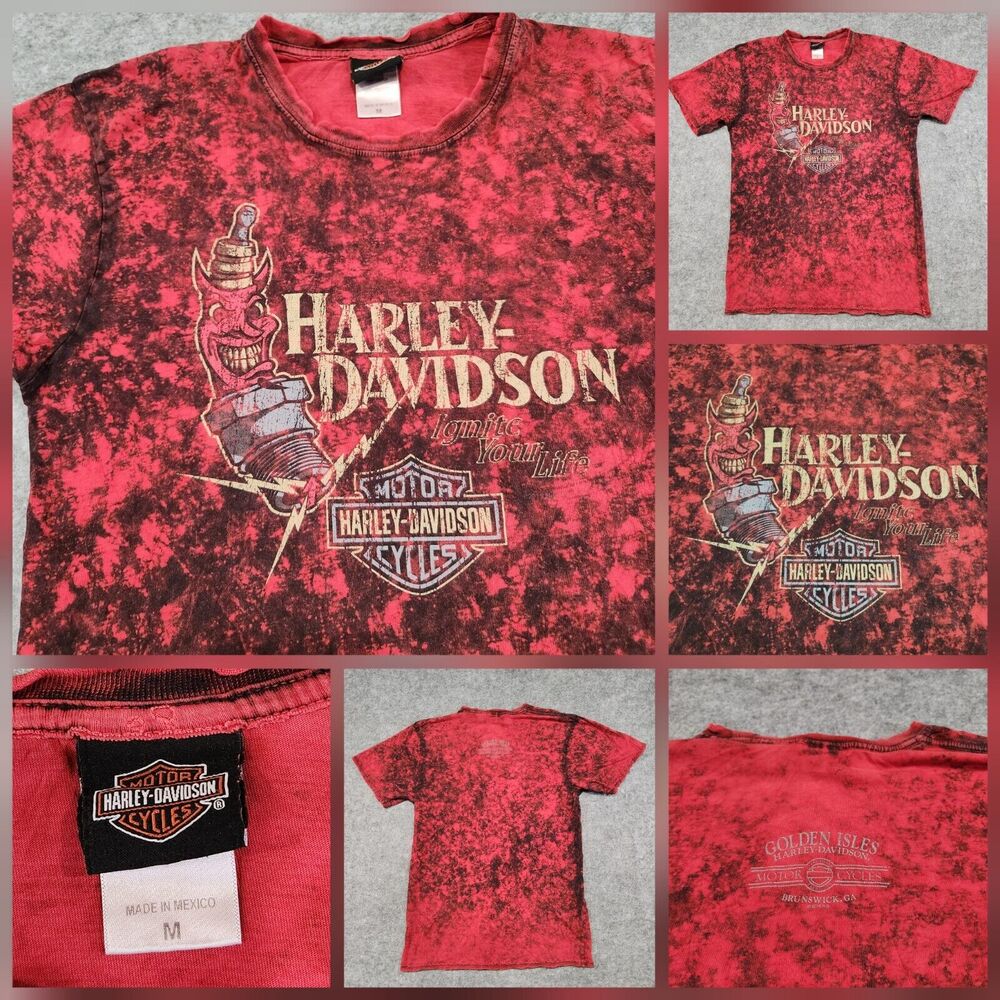Harley Davidson Motorcycles Mens M Medium Ignite Brunswick GA Georgia T Shirt‎